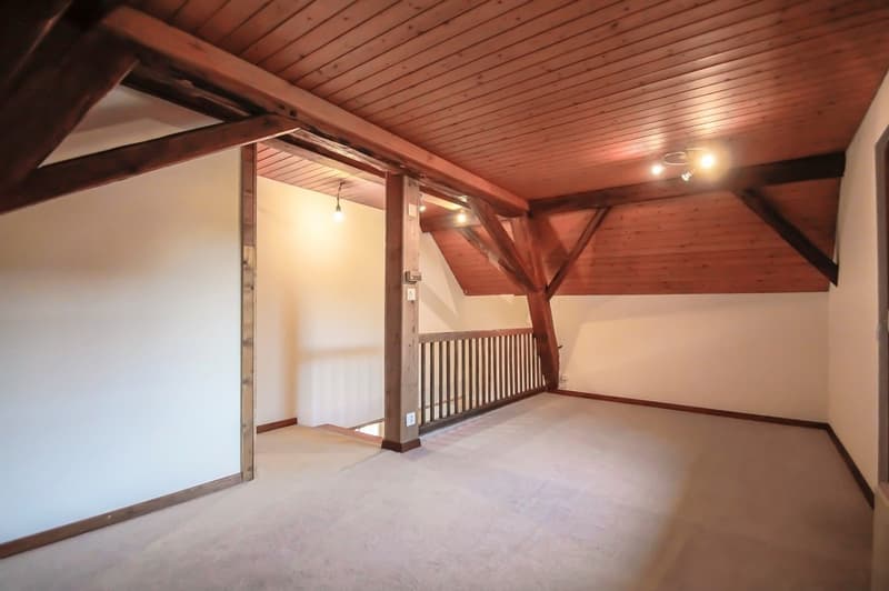 Charming farmhouse with privacy in Kallnach BE (6)