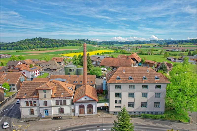Exclusive, ultra-modern 5½-room attic apartment with large terrace (13)