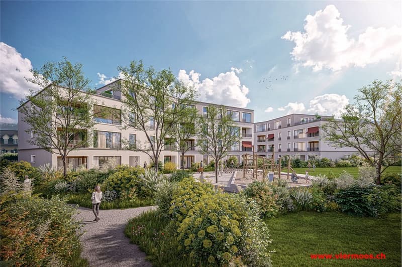 Zu grosses Haus? Willkommen im VIERMOOS (7)