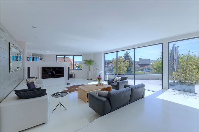 Exklusive, topmoderne 5½-Zimmer Attikawohnung mit grosser Terrasse (1)