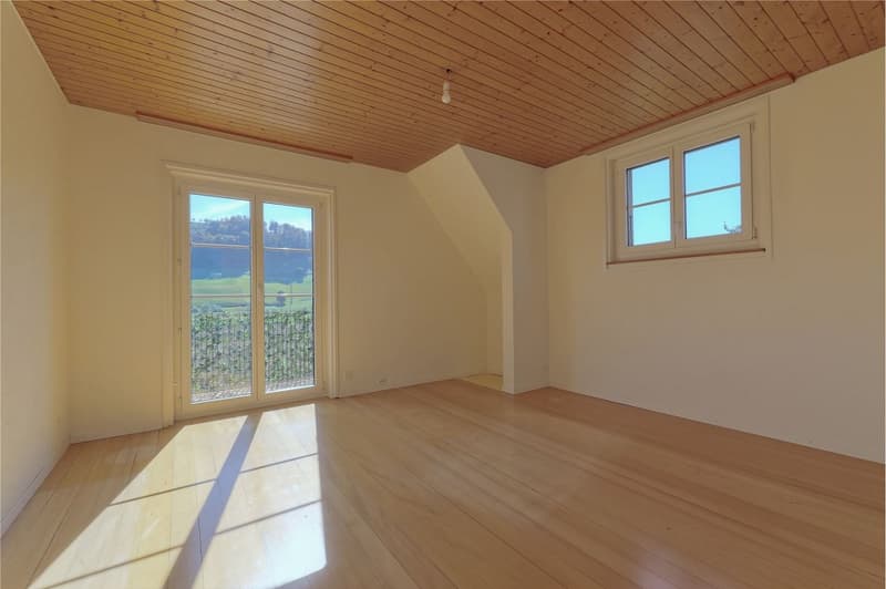 Charmante 3½-Zimmer Eigentumswohnung mit Mansardenzimmer und Garten (4)