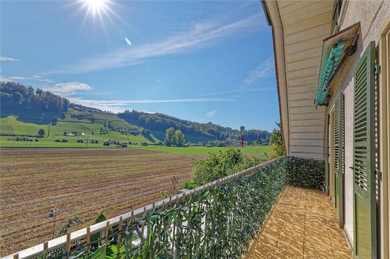 Charmante 3½-Zimmer Eigentumswohnung mit Mansardenzimmer und Garten (5)