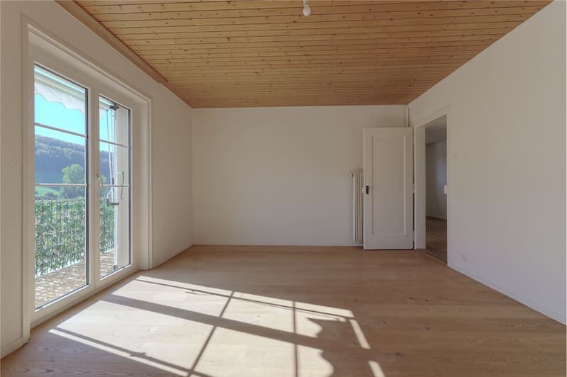 Charmante 3½-Zimmer Eigentumswohnung mit Mansardenzimmer und Garten (2)