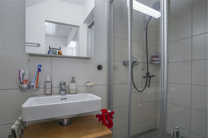 Kleine, charmante Dachwohnung mitten im Breitsch (6)