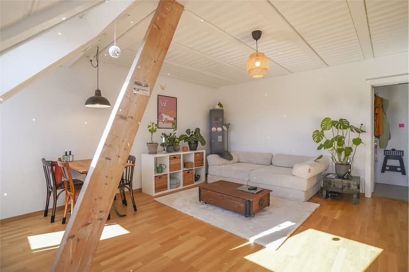 Kleine, charmante Dachwohnung mitten im Breitsch (1)