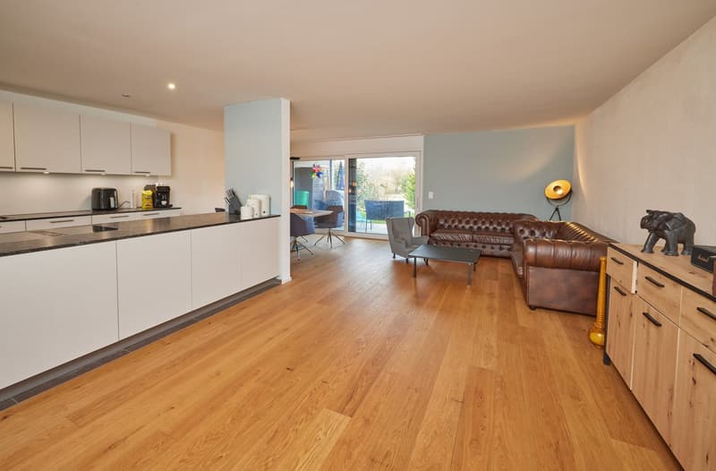 open plan kitchen, living room, dining room, sliding door to terrace, hardwood floors, modern design