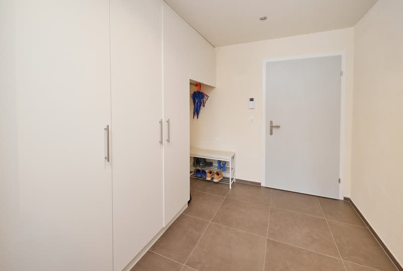 A hallway with two closets on the left, a shoe rack, and an entrance door