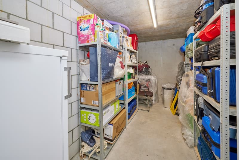 Storage room filled with boxes, bags, luggage and storage baskets.