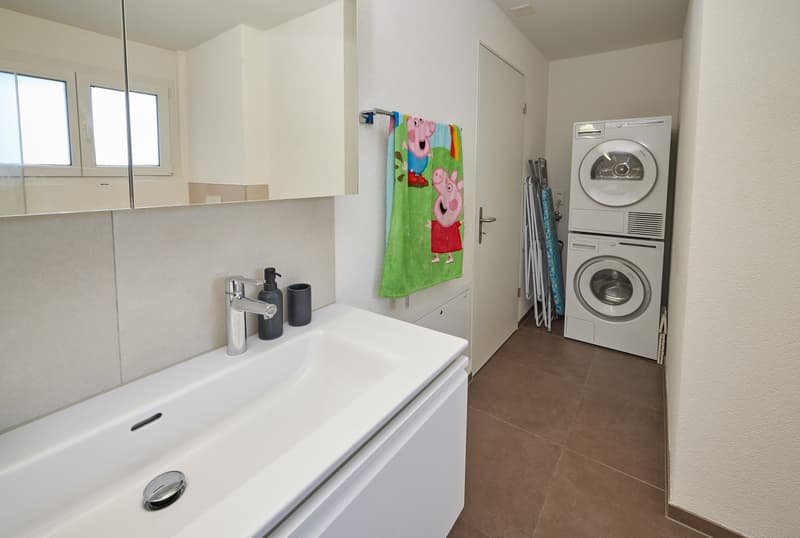 Sink with faucet, washing machine, dish washer, towel rack, windows, brown floor