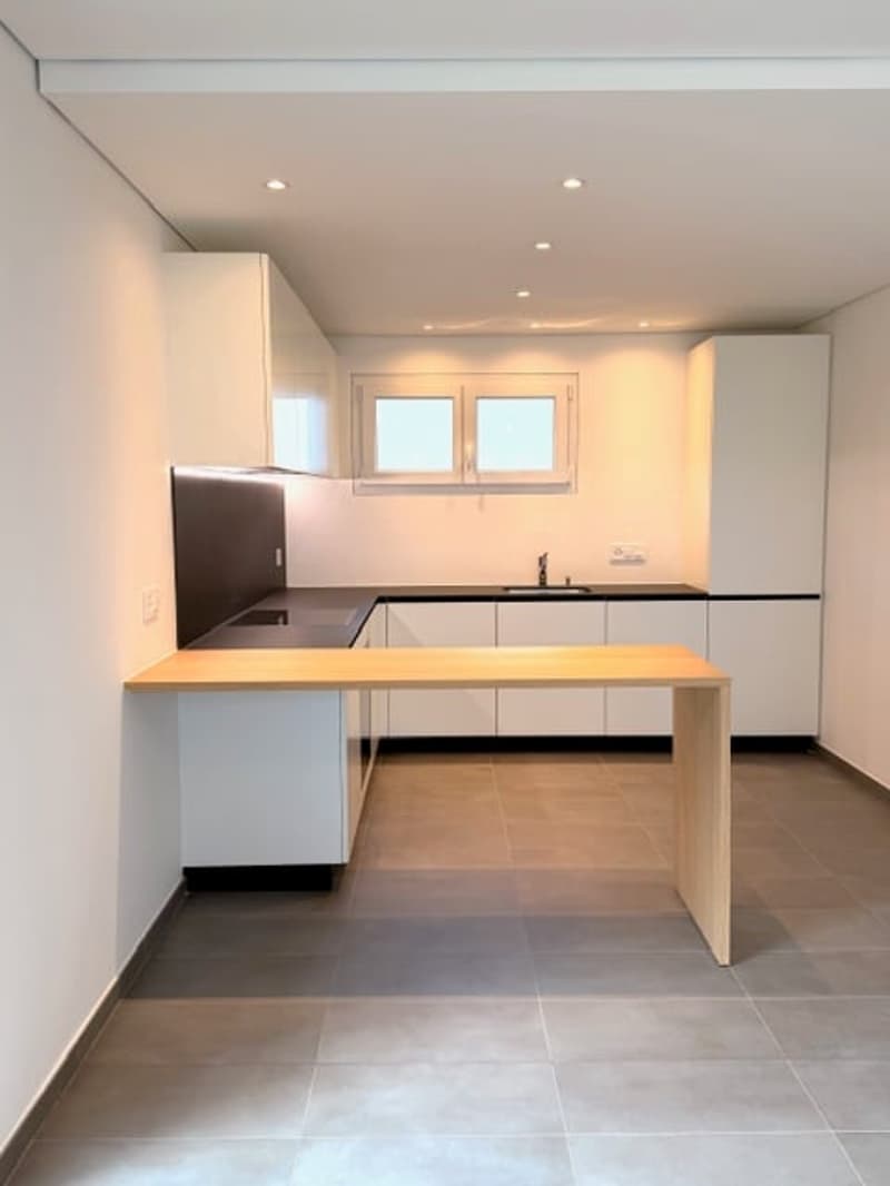 Mesocco, modernes Haus mit Panoramablick, Neubau (3)