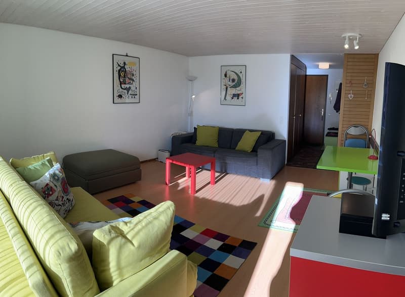 Cozy studio with panoramic view of San Bernardino (1)