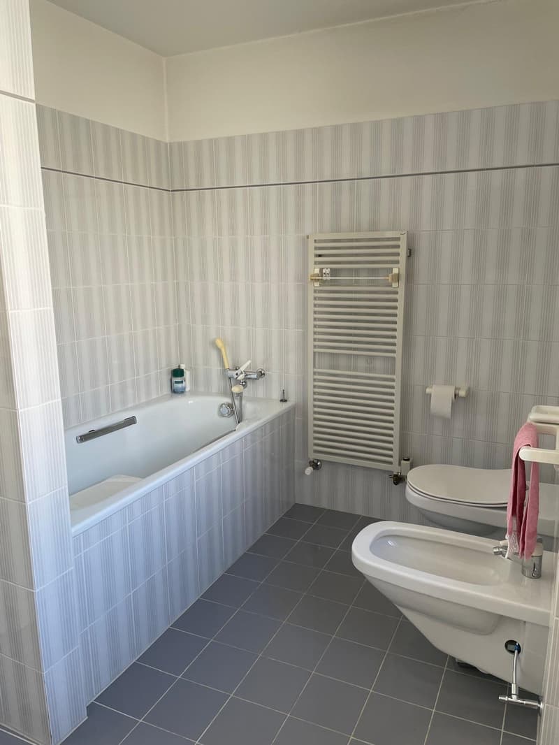 Mesocco, San Rocco area, in a central and sunny position, a carefully maintained single-family house is for sale (9)