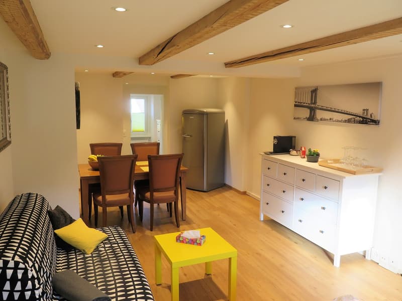 Appartement meublé de 1,5 pièces à Rikon dans le Tösstal – charmant et situé au centre (9)