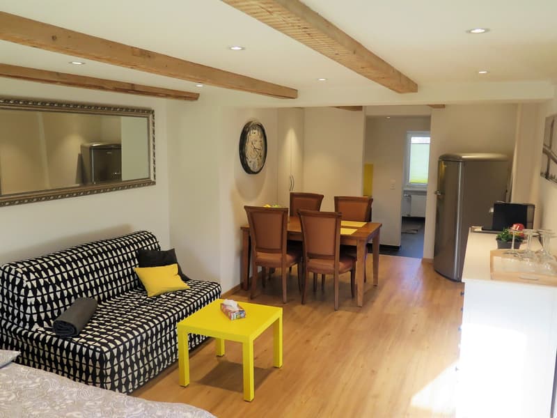 Appartement meublé de 1,5 pièces à Rikon dans le Tösstal – charmant et situé au centre (7)
