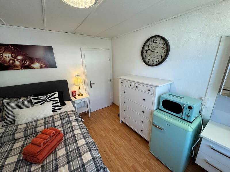 Komplett möbliertes Zimmer (2)