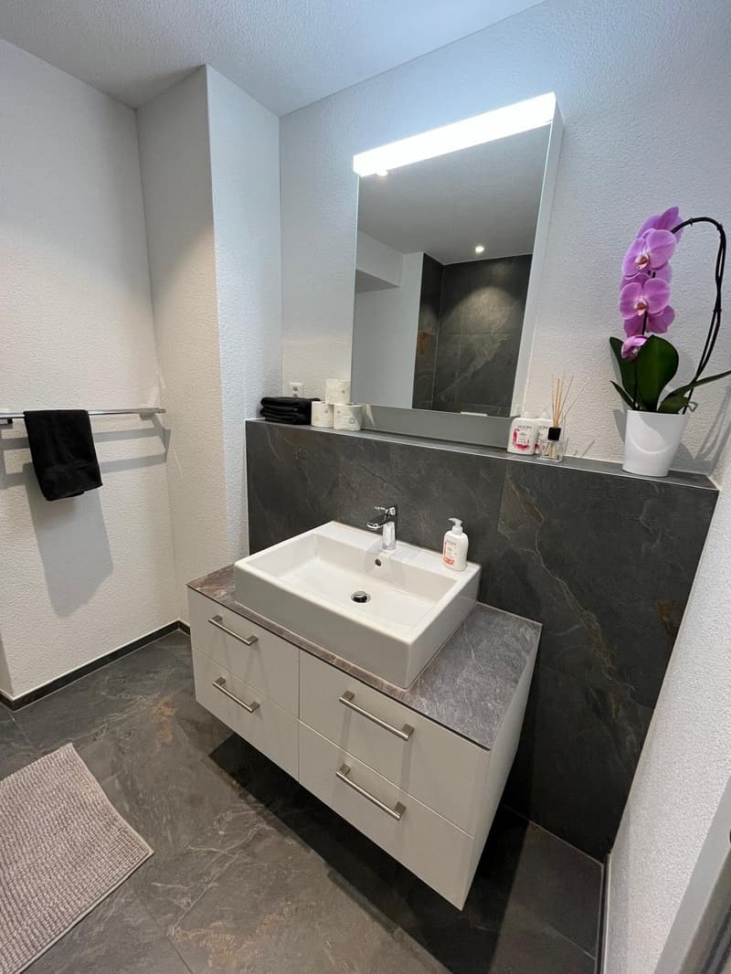 Komplett möbliertes Zimmer (6)