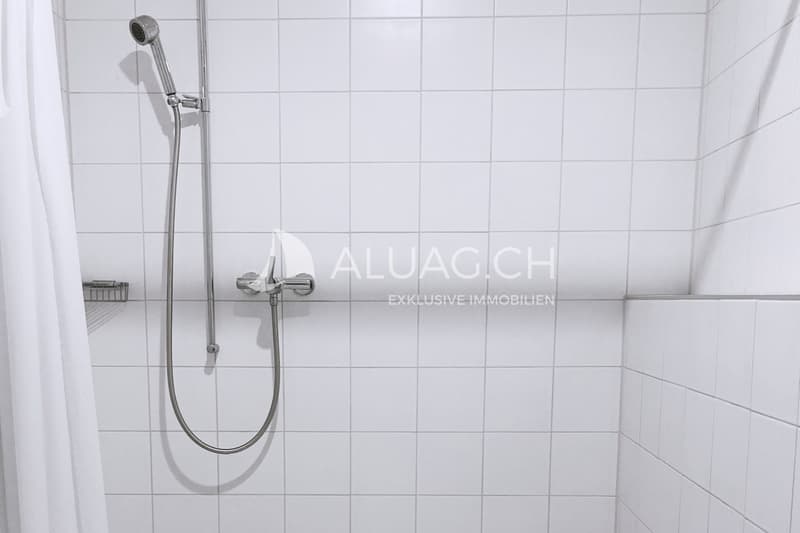 Die geräumige Dusche lässt sich ohne grossen Aufwand an Ihre Vorlieben anpassen