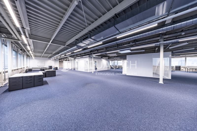 Die grosszügigen Büroflächen sind offen gestaltet und bieten eine hohe Flexibilität in der Nutzung