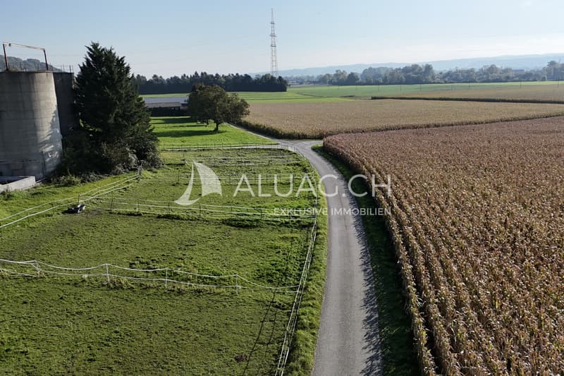 Lagebild