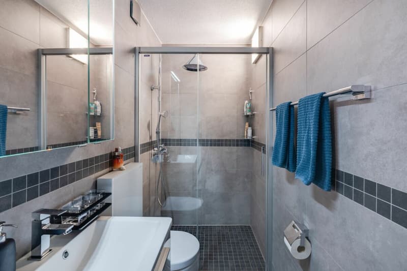 Modern 4.5 room apartment with large winter garden and terrace in the center of Oensingen (13)