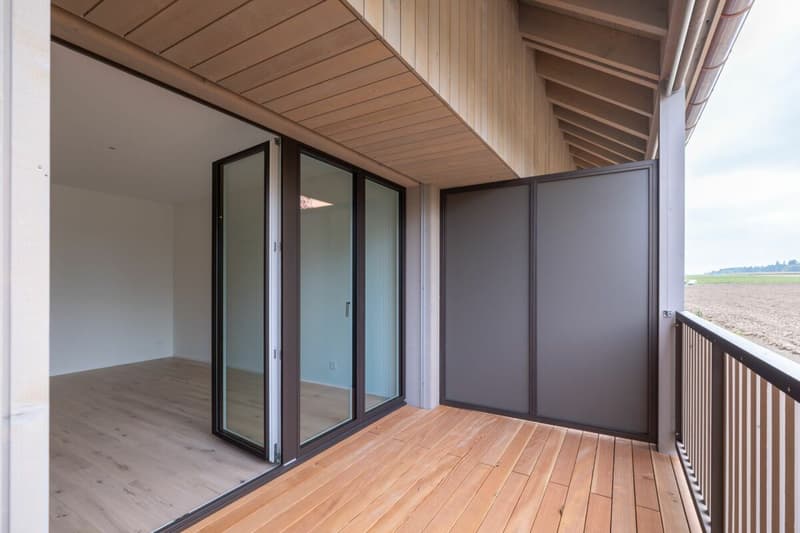 Neubau - exklusive 4.5-Zimmer-Maisonette mit 157 m² Wohnfläche in Zauggenried (17)
