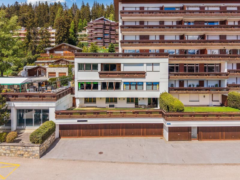Bellissimo appartamento di 3.5 locali al piano terra con terrazza e giardino (2)