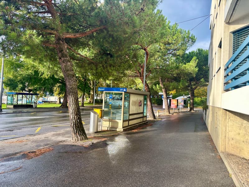 Prächtige 3,5-Zimmer-Wohnung mit Kamin in Clarens (18)