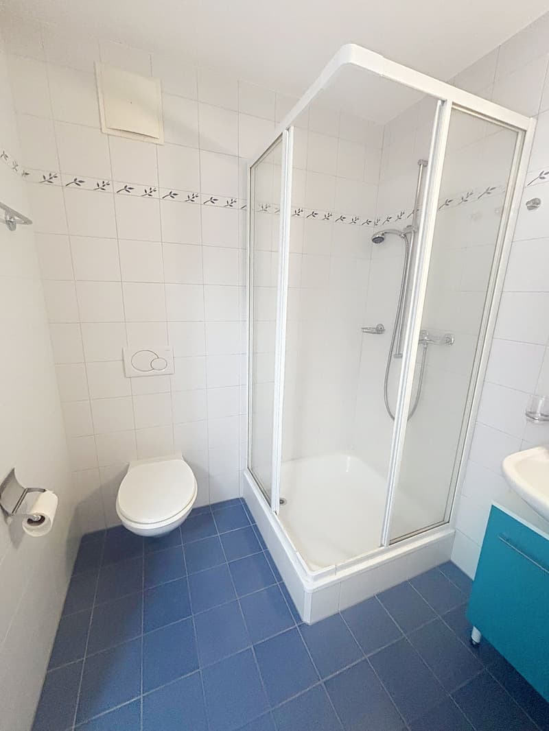 Prächtige 4,5-Zimmer-Wohnung mit Panoramablick in Chernex (11)