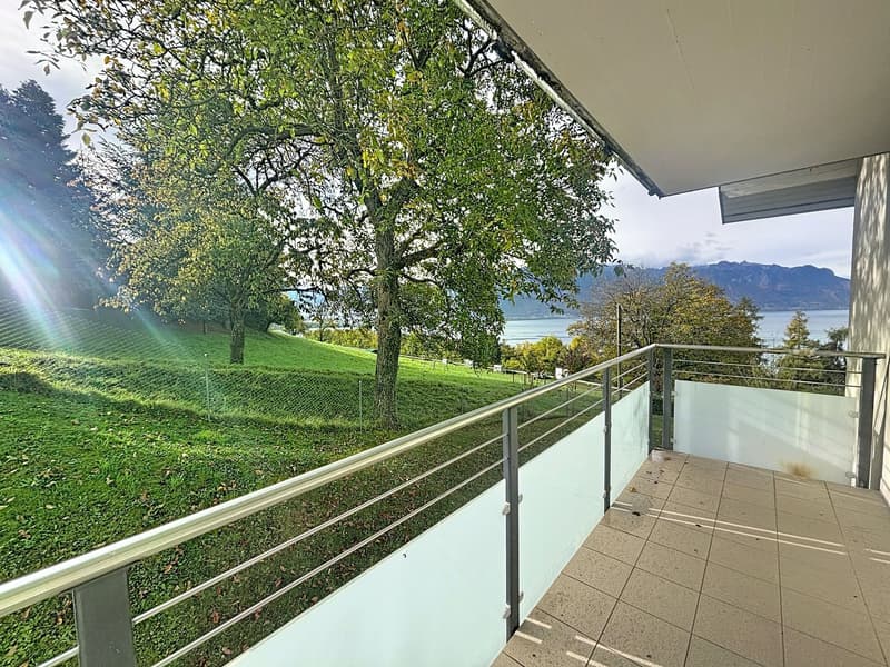 Prächtige 4,5-Zimmer-Wohnung mit Panoramablick in Chernex (15)