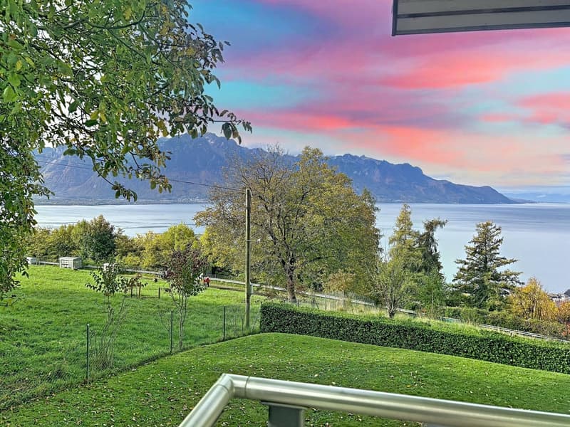 Prächtige 4,5-Zimmer-Wohnung mit Panoramablick in Chernex (20)