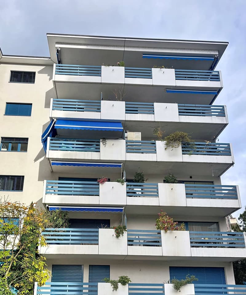 Magnifique appartement de 3,5 pièces avec cheminée à Clarens (23)