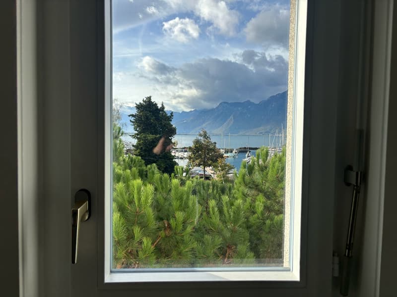 Magnifique appartement de 3,5 pièces avec cheminée à Clarens (6)
