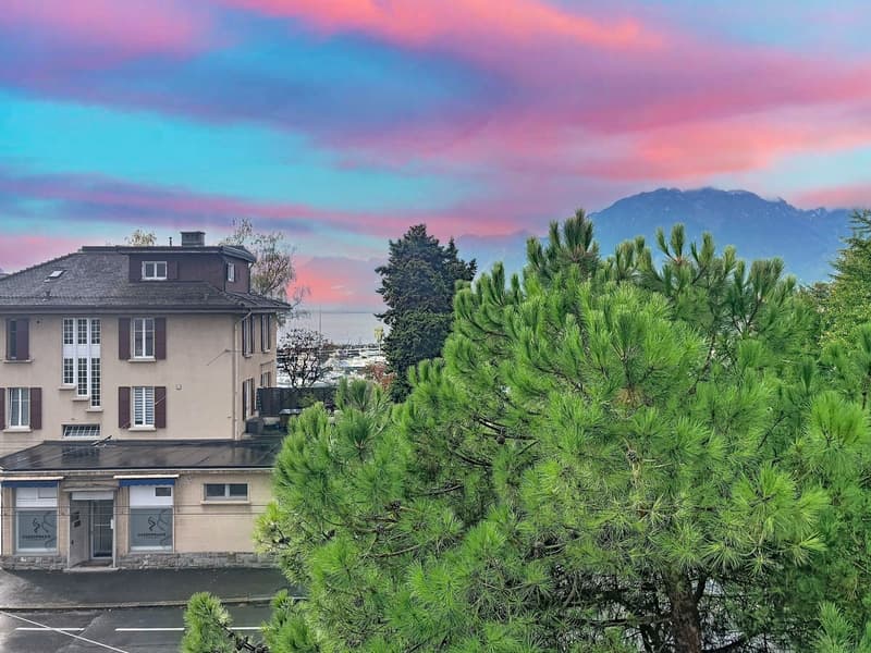 Magnifique appartement de 3,5 pièces avec cheminée à Clarens (19)