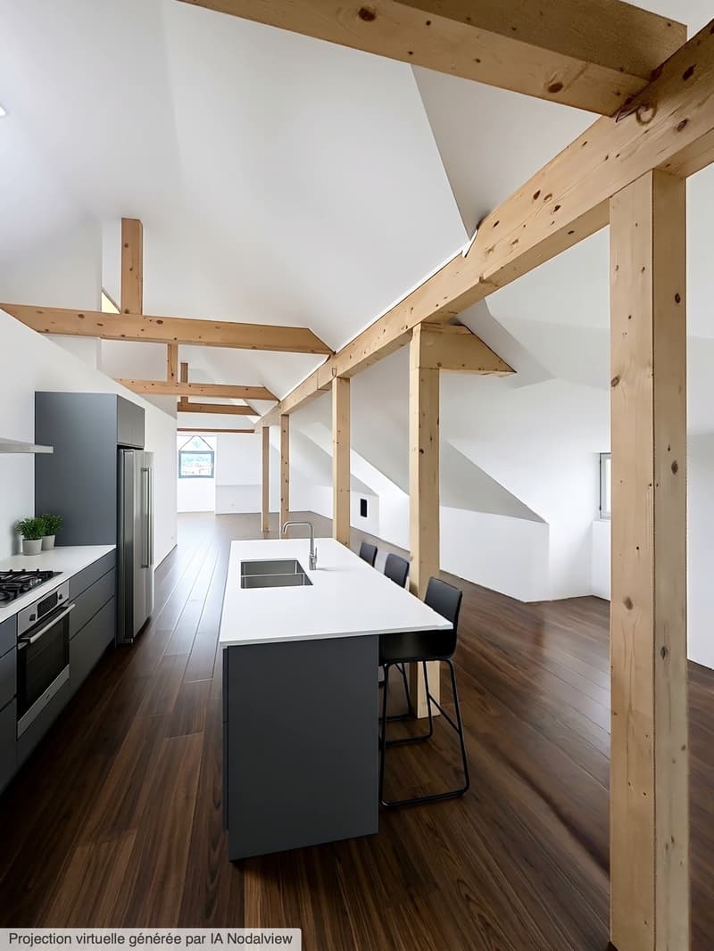 Unique, loft au coeur de la ville de Sion (2)