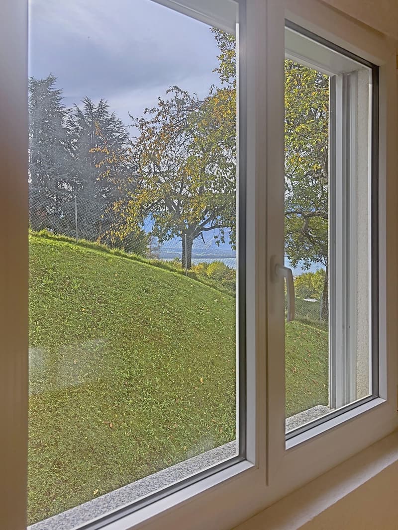 Magnifique appartement de 4,5 pièces avec vue panoramique à Chernex (19)