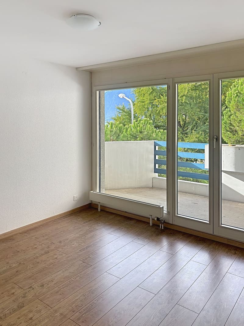Magnifique appartement de 3,5 pièces avec cheminée à Clarens (11)