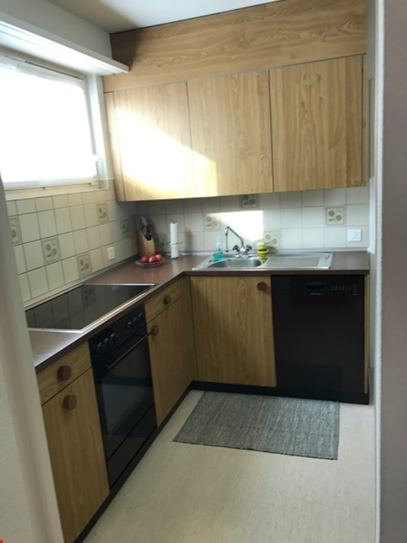Schöne 3-Zimmer-Wohnung in Flüh (10)
