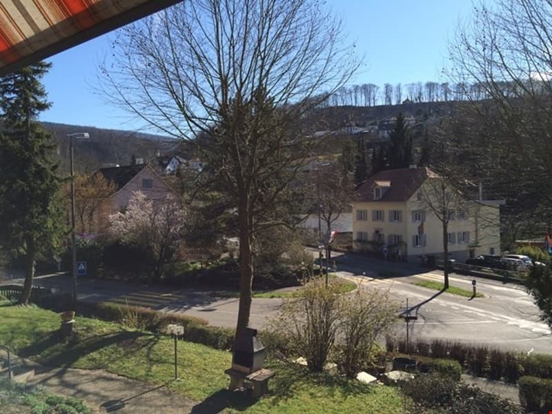 Schöne 3-Zimmer-Wohnung in Flüh (2)
