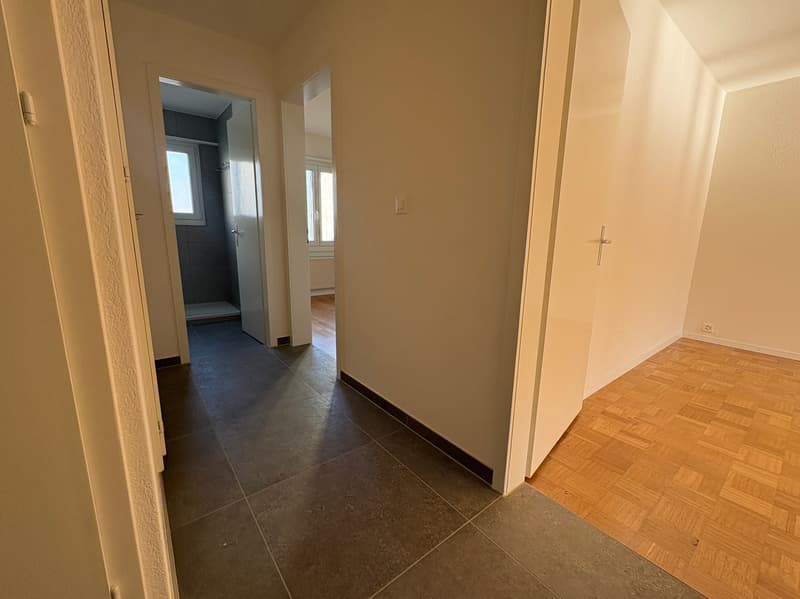 Appartement rénové de 3,5 pièces à Burgdorf (8)