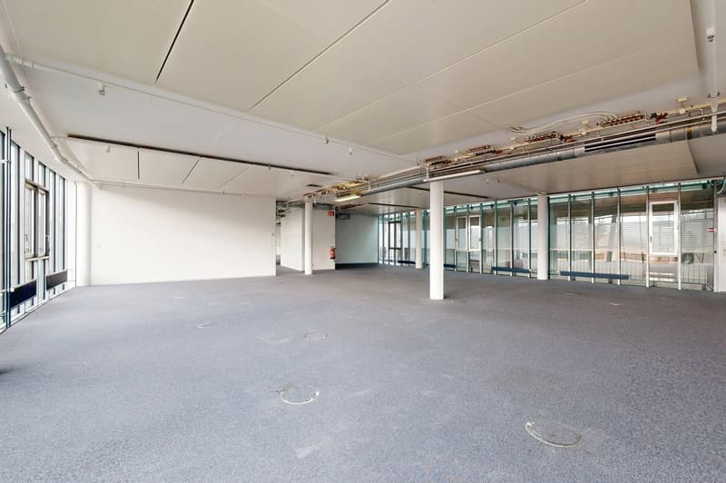 400 m2 Bürofläche – flexibel, modern, zentral (3)
