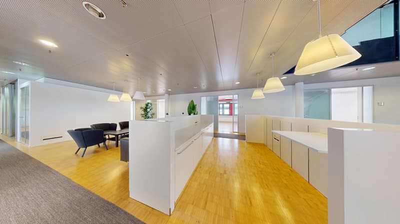 Mehr als nur ein Büro: Entdecken Sie Ihren neuen Lieblingsarbeitsplatz ab 24m2 bis 200m2 (8)