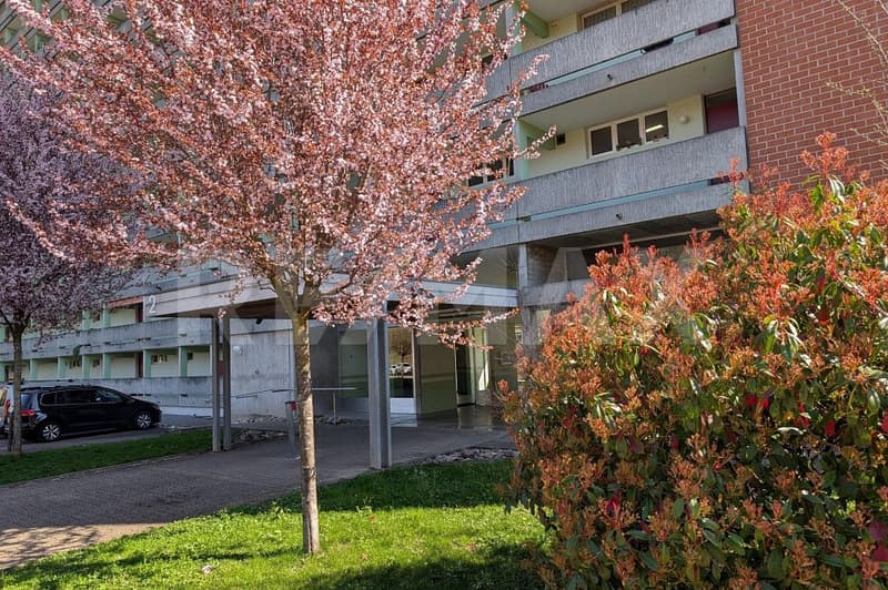 Ampio appartamento di 6 locali con vista mozzafiato (2)