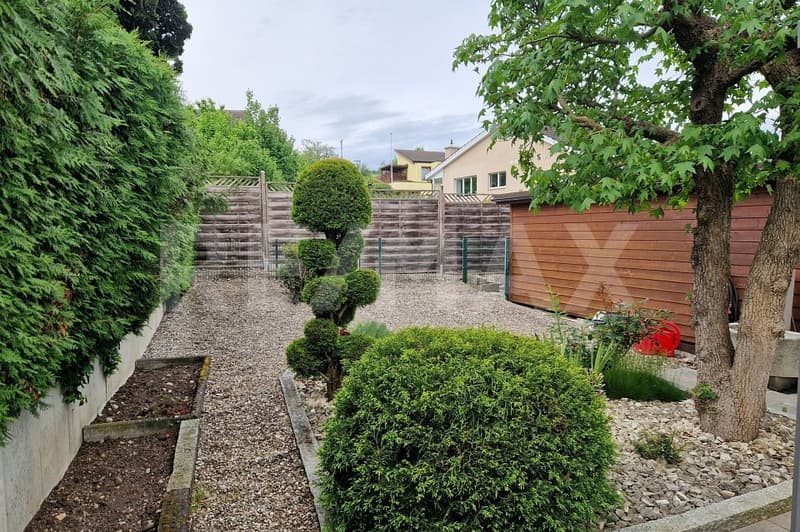 OPEN-HOUSE MITTWOCH 10. Juni 2026 / 17 BIS 19 Uhr (9)