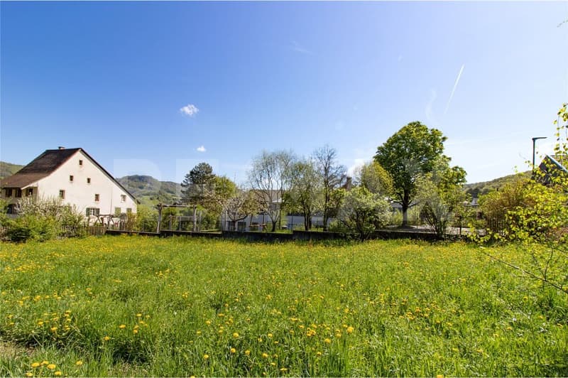 600 m² Bauland an beschaulicher Lage (1)