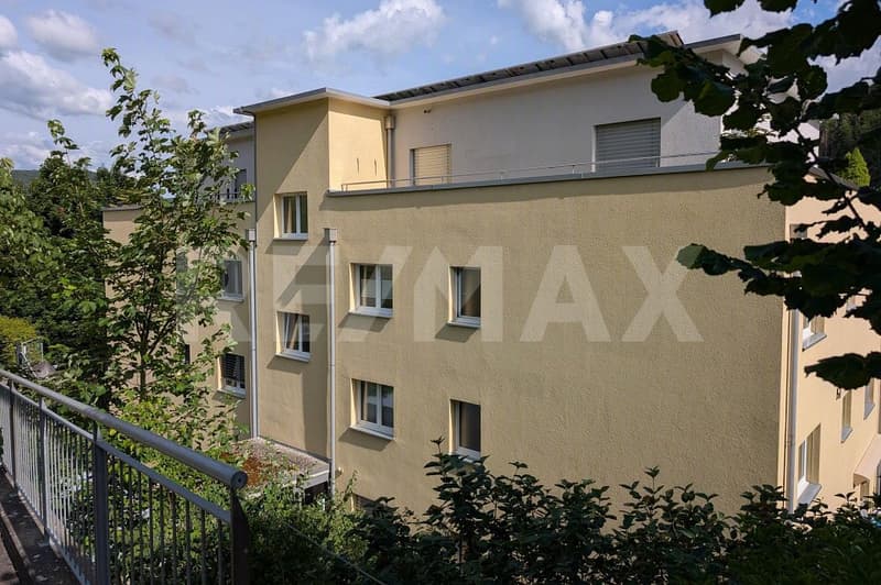 Exclusive living - 5½-room attic apartment with direct elevator access (6)