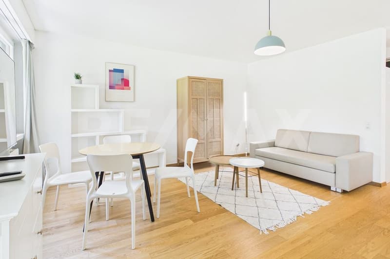 Attraktive 1-Zimmer-Wohnung mit Garten (3)