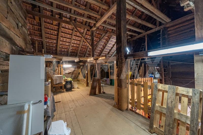 Ehemaliges Bauernhaus mit grosser Scheune (12)