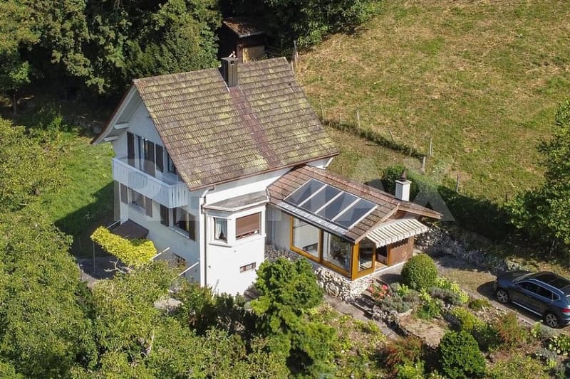 Ihr Logenplatz in der Natur (1)