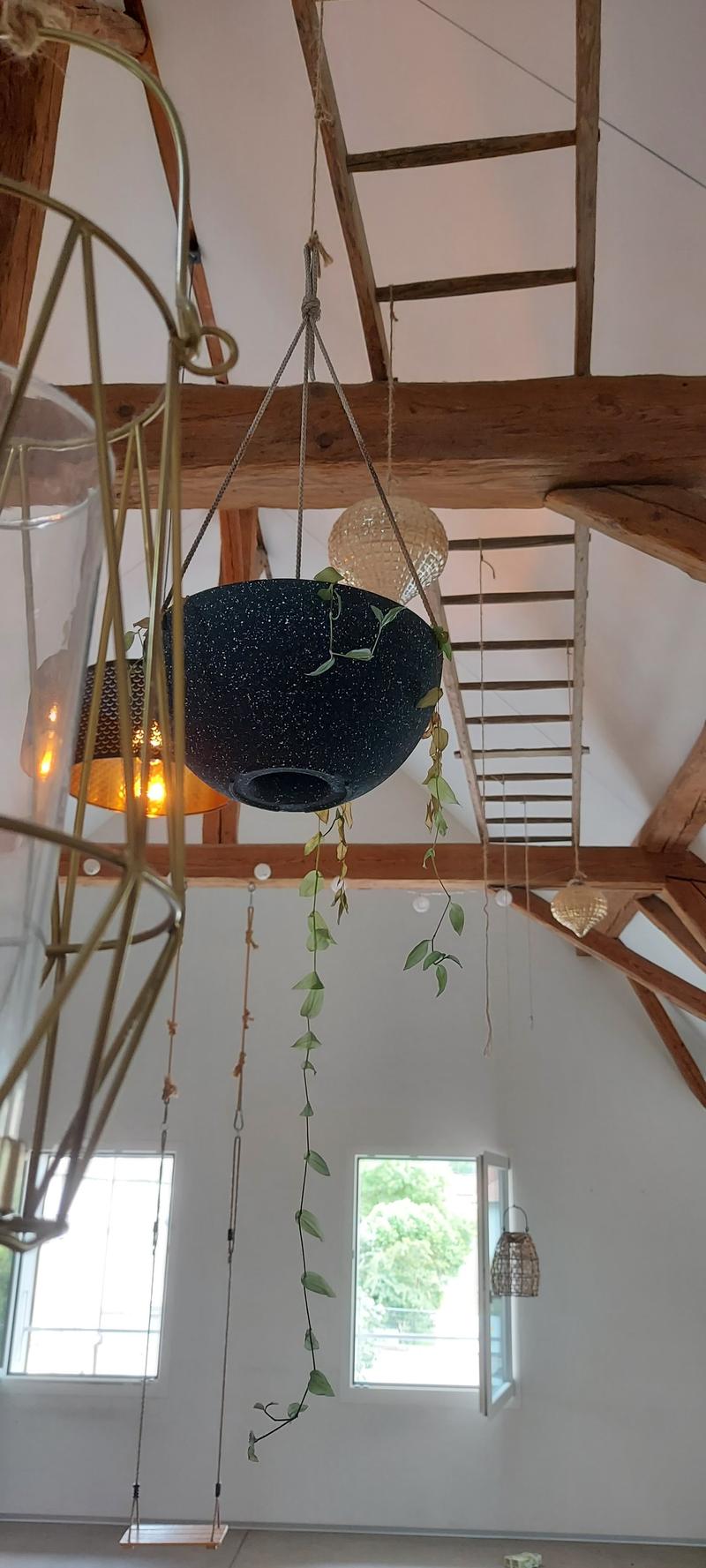 Charmant appartement spacieux 2.5 pièces en mansarde à Kerzers – rénové et situé au calme (4)