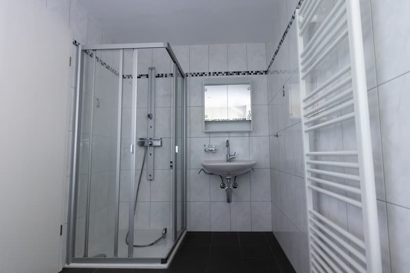 Familienfreundliche 4.5-Zimmer-Wohnung in Müntschemier (15)